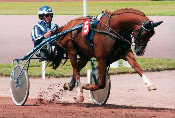 Photo ROC MESLOIS : 3 vainqueurs et 9 placés