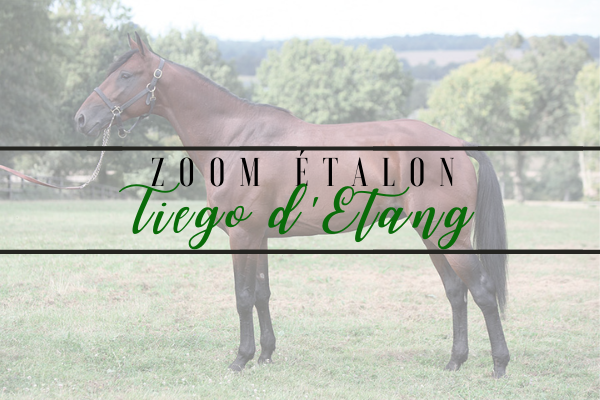 Photo Zoom Etalon : TIEGO D'ETANG