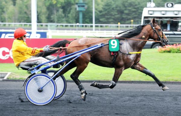 Photo ALTO DE VIETTE : 4 vainqueurs et 2 placés