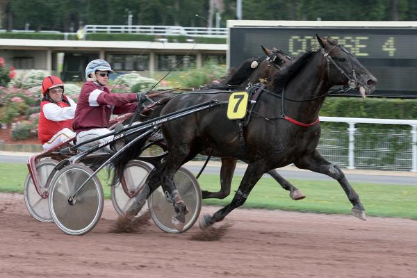 Photo QUINOA DU GERS : 3 vainqueurs et 1 placé