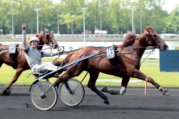 Photo AKIM DU CAP VERT : 3 vainqueurs et 2 placés