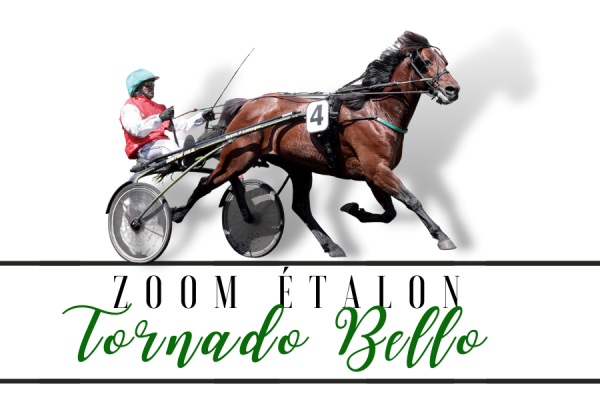 Photo Zoom Etalon : TORNADO BELLO