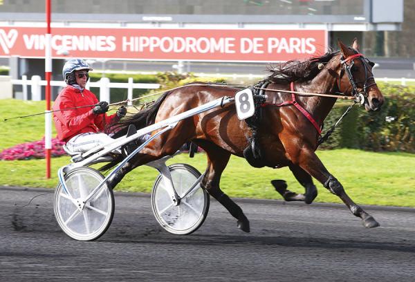 Photo DIABLO DU NOYER vainqueur à Agen