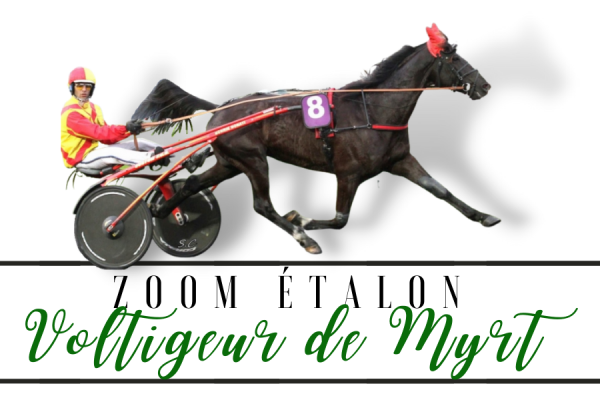 Photo Zoom Etalon : VOLTIGEUR DE MYRT