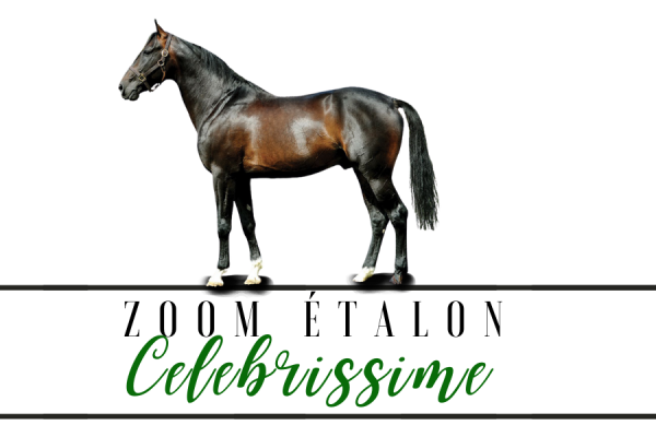 Photo Zoom Etalon : CELEBRISSIME