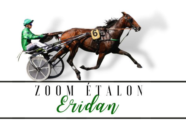 Photo Zoom Etalon : ERIDAN