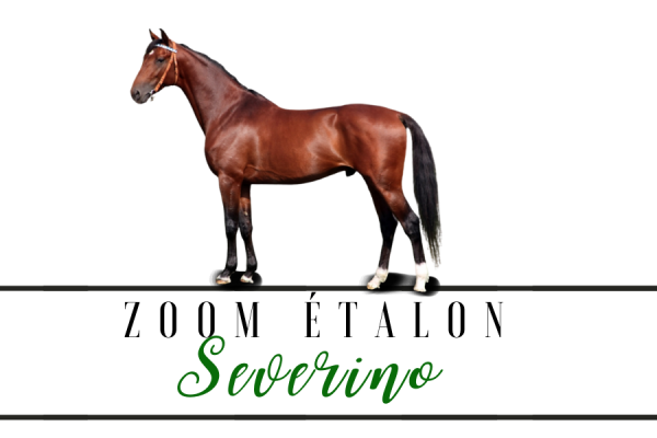 Photo Zoom Etalon : SEVERINO