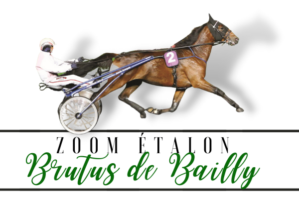 Photo Zoom Etalon : BRUTUS DE BAILLY