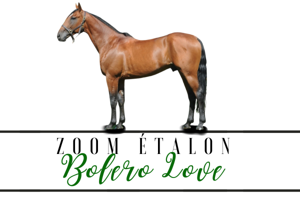 Photo Zoom Etalon : BOLERO LOVE