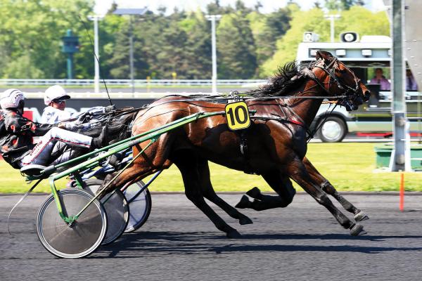 Photo ENINO DU POMMEREUX : déjà 5 qualifiés !