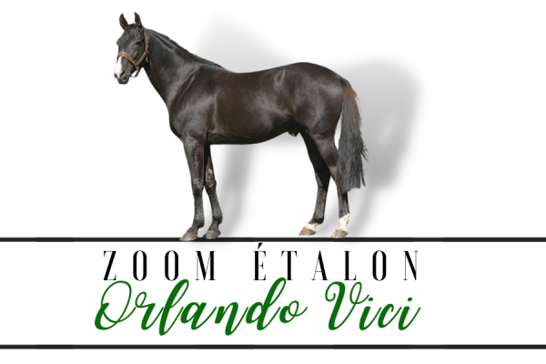 Photo Zoom Etalon : ORLANDO VICI