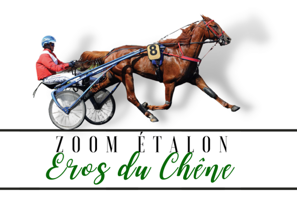 Photo Zoom Etalon : EROS DU CHENE