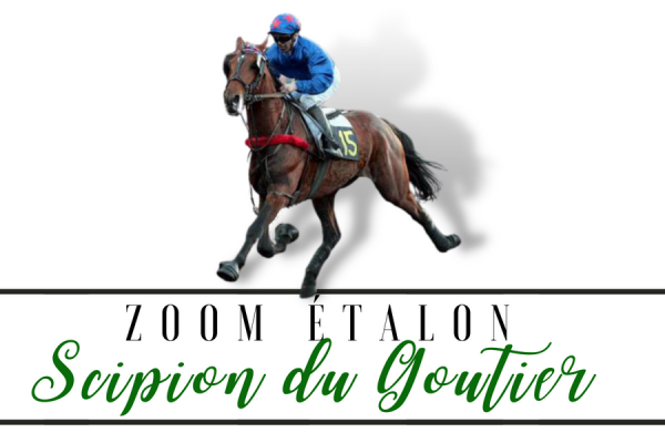 Photo Zoom Etalon : SCIPION DU GOUTIER