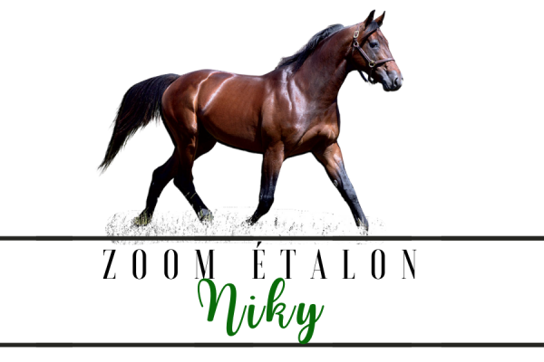 Photo Zoom Etalon : NIKY