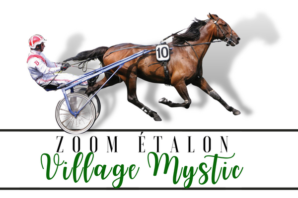 Photo Zoom Etalon : VILLAGE MYSTIC