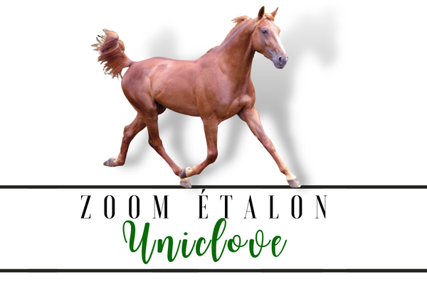 Photo Zoom Etalon : UNICLOVE