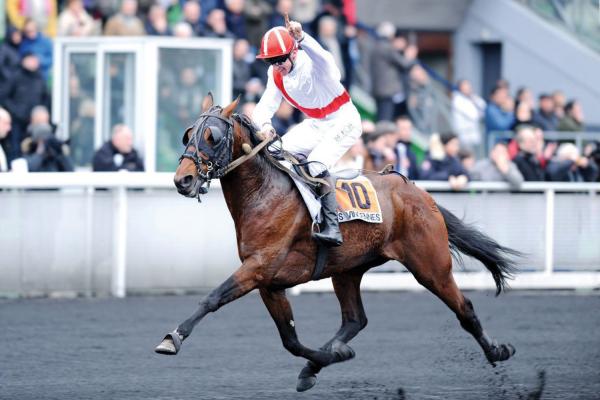 Photo SINGALO : 2 vainqueurs et 3 placés