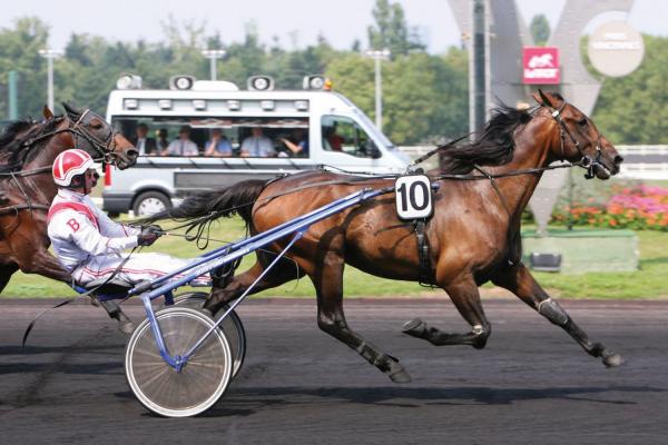 Photo VILLAGE MYSTIC : 3 vainqueurs et 9 placés