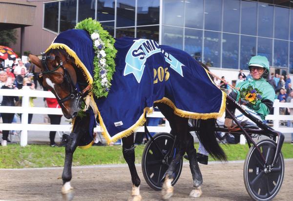 Photo UN MEC D'HERIPRE : 3 vainqueurs et 8 placés