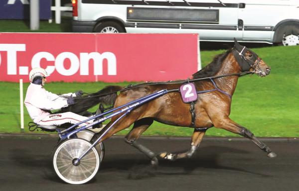 Photo BRUTUS DE BAILLY : 1 vainqueur de Groupe à Vincennes