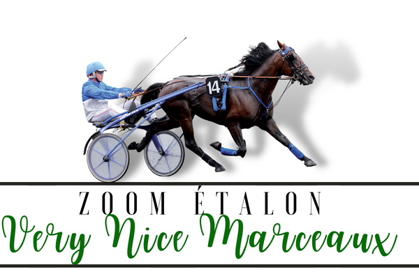 Photo Zoom Etalon : VERY NICE MARCEAUX