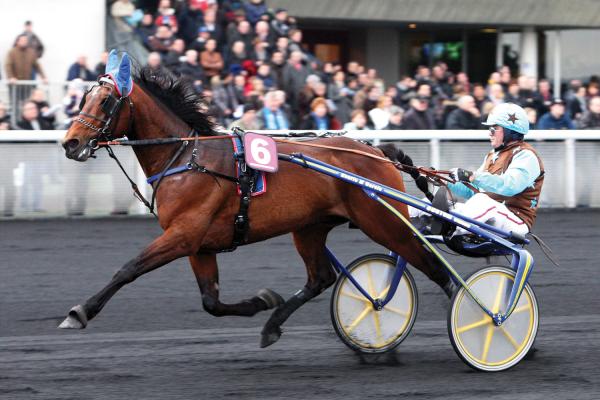 Photo UNIQUE QUICK : 2 vainqueurs et 3 placés