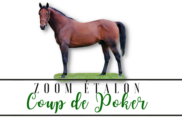 Photo Zoom Etalon : COUP DE POKER