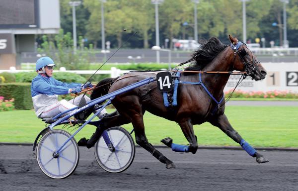 Photo VERY NICE MARCEAUX : 8 vainqueurs sur les 2 derniers week-end