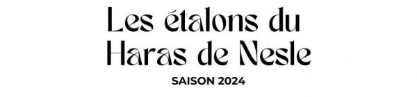 Photo Les étalons du Haras de Nesle - Saison 2024