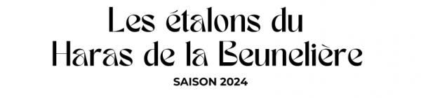 Photo Les étalons du Haras de la Beunelière - Saison 2024