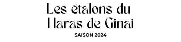 Photo Les étalons du Haras de Ginai - Saison 2024