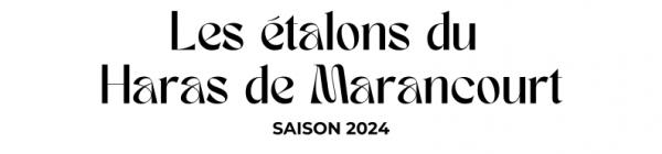 Photo Les étalons du Haras de Marancourt- Saison 2024