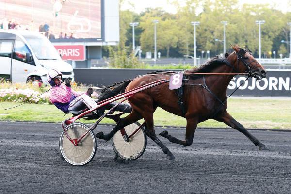 Photo DIABLE DE VAUVERT arrive 6e dans le Prix de Bretagne