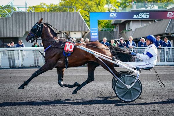 Photo HIP HOP HAUFOR remporte le Prix Jean Dumouch – Grp III à Vincennes