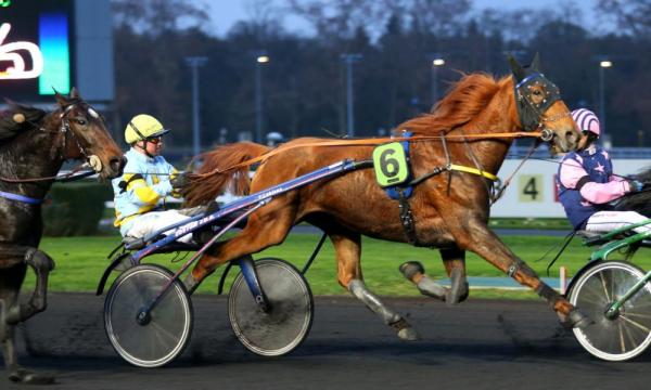 Photo DUCATO BOURBON : 5 gagnants et 3 placés depuis le début du mois !