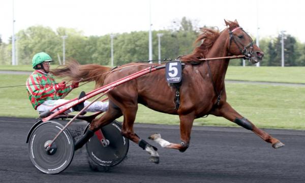 Photo ATHOS DES ELFES : 4 gagnants et 5 placés en mai 2024 !