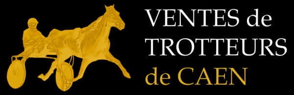 Photo Ventes de yearlings à Caen