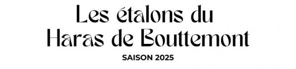 Photo Les étalons du Haras de Bouttemont - Saison 2025