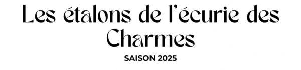 Photo Les étalons de l'Ecurie des Charmes - Saison 2025