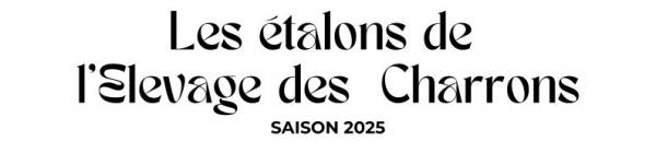 Photo Les étalons de l'Elevage des Charrons - Saison 2025